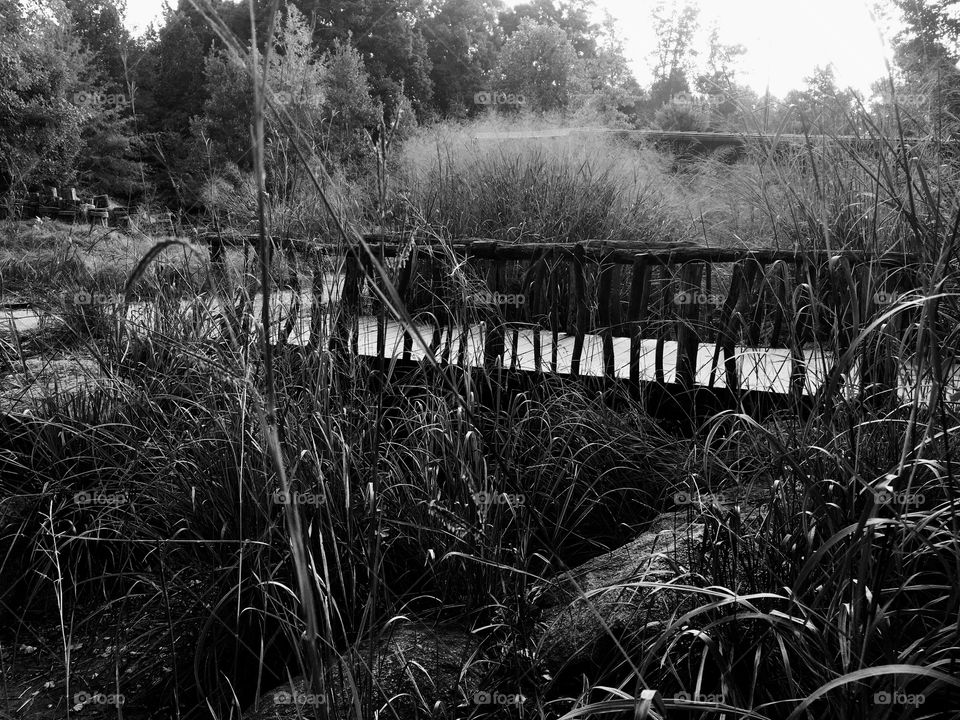 Footbridge at the park