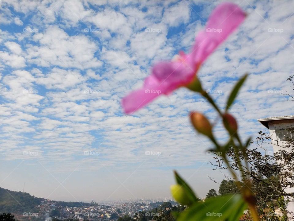 toque no céu