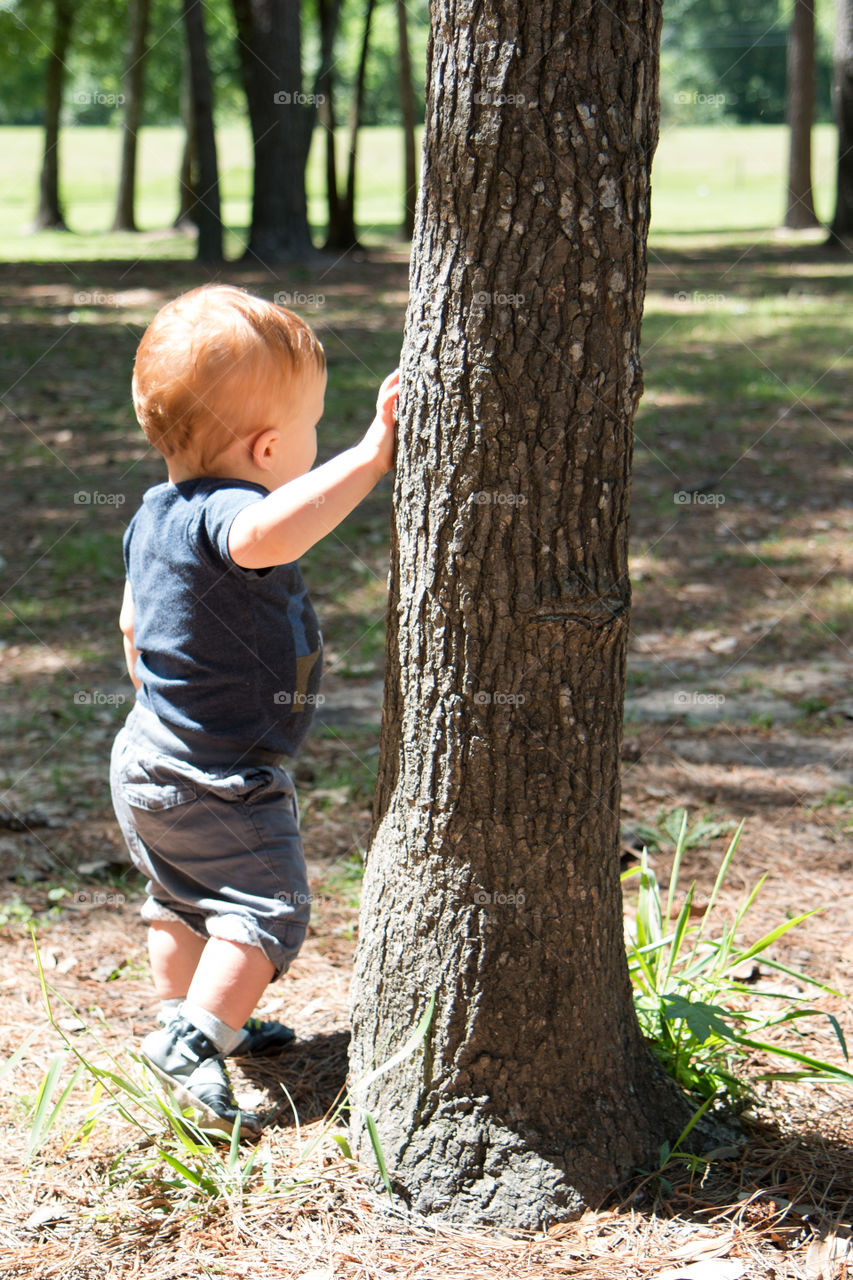 Model baby on a tree 