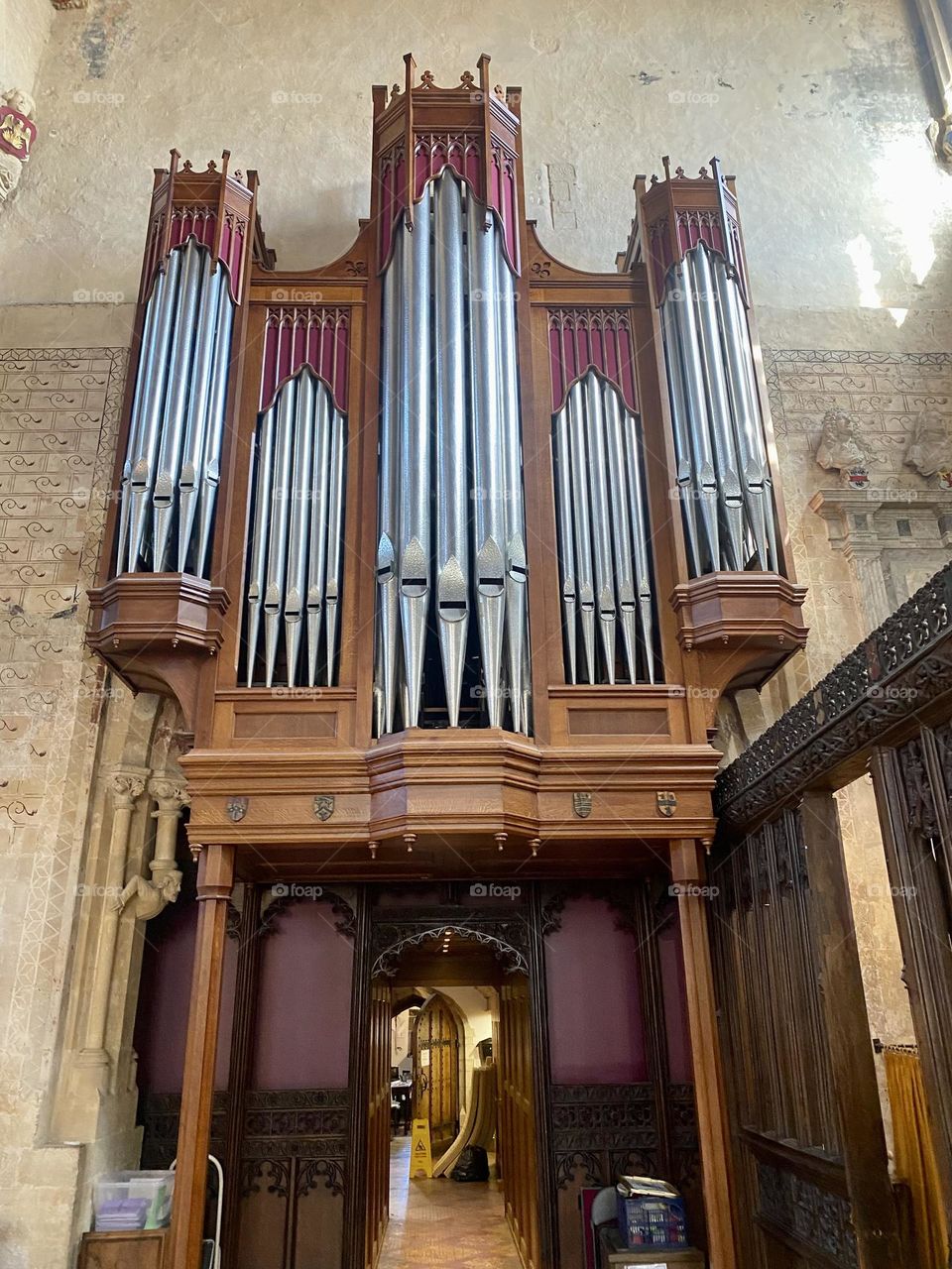 Organ