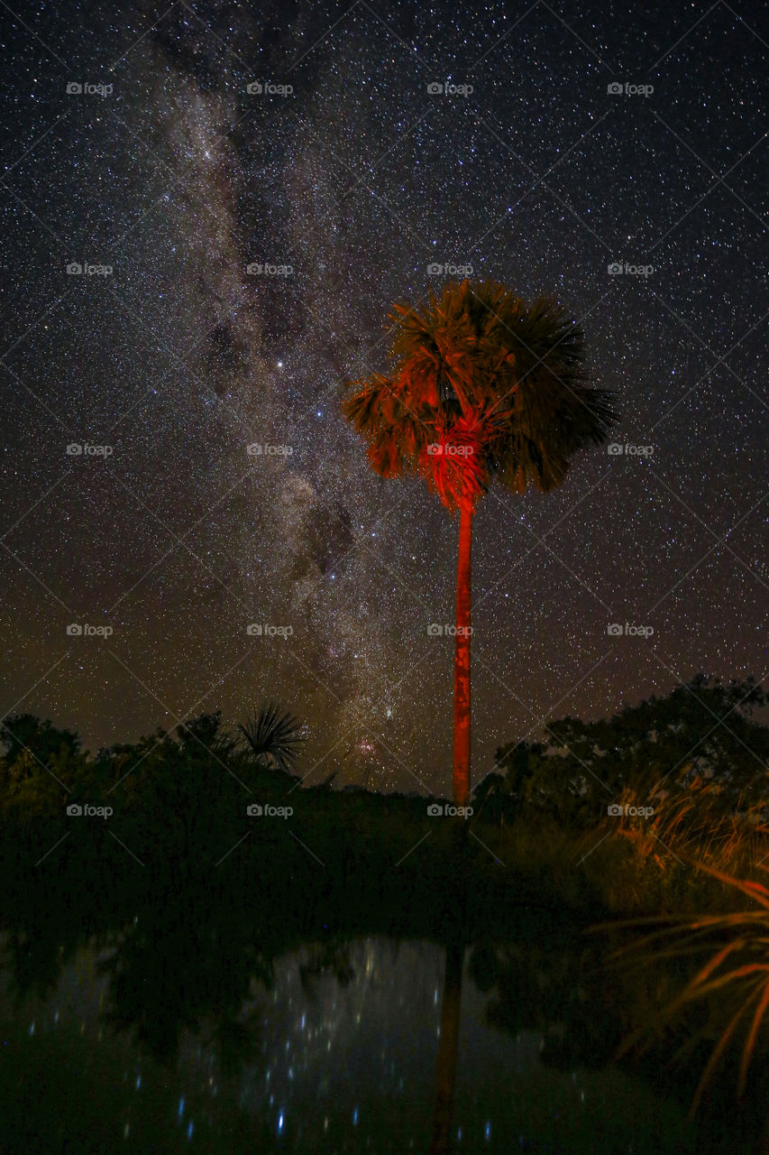 Starry night in Jalapao State Park.