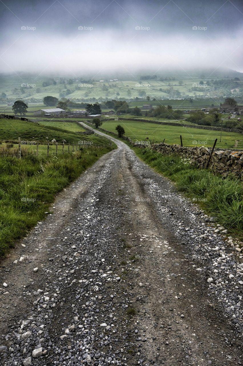 Misty lane