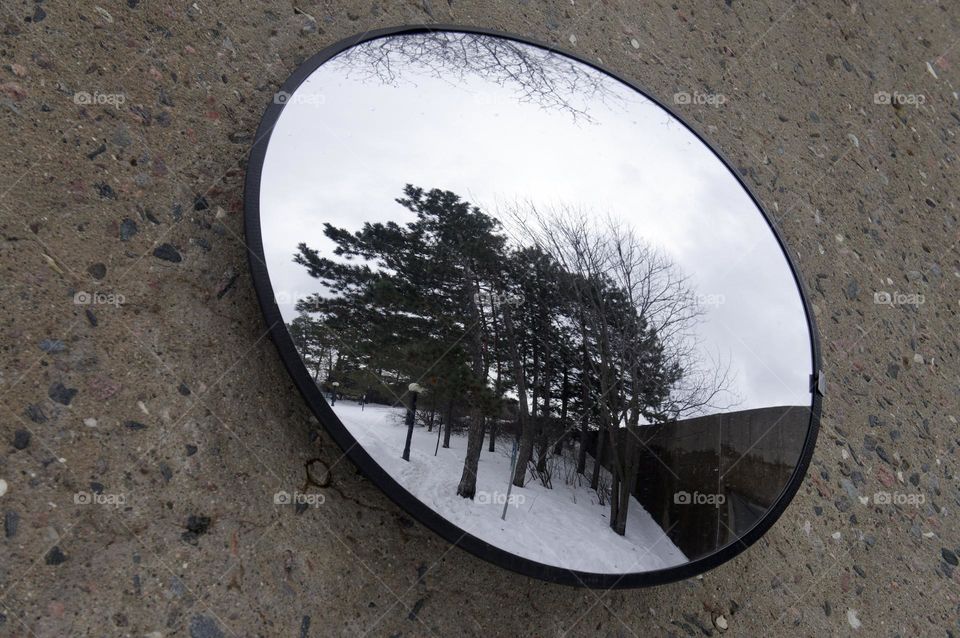 Evergreens and snow appear in this traffic safety mirror.