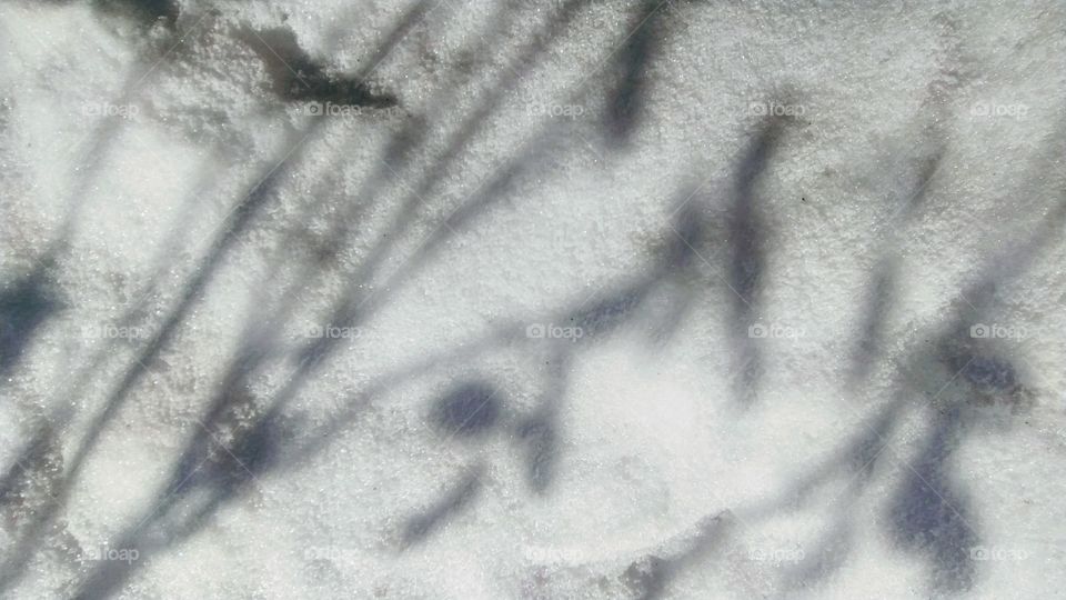 snowshadow