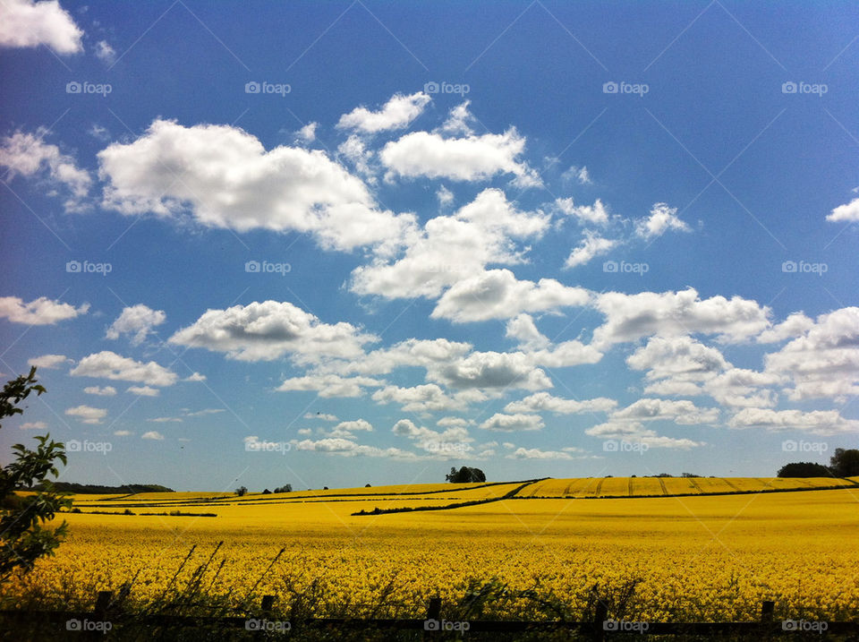 landscape sky field meadow by scuba_suzy