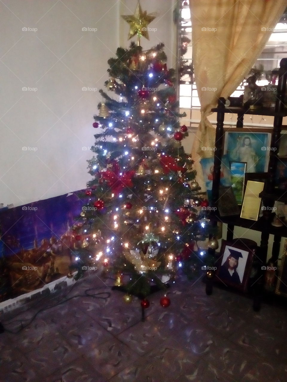 Christmas, Christmas Tree, Winter, Decoration, Interior Design