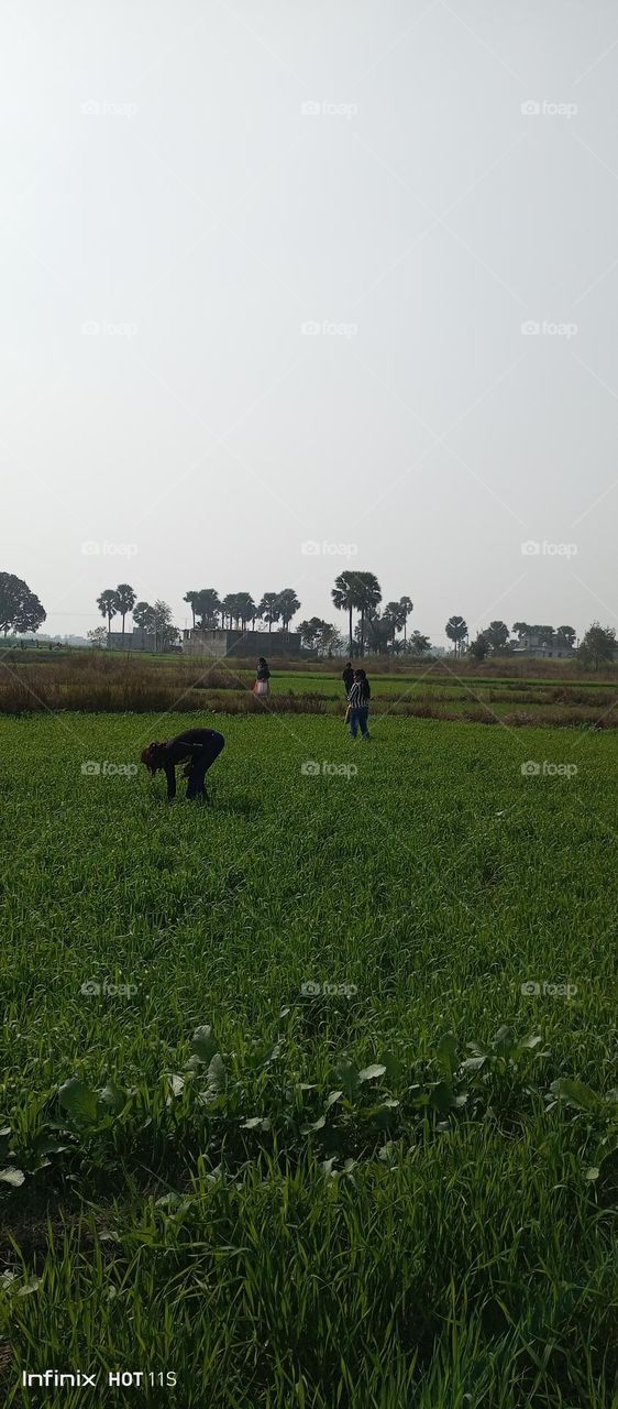 Woman in field