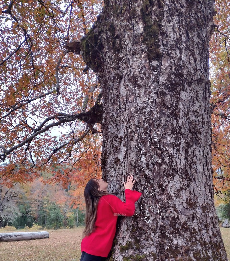 hermoso otoño