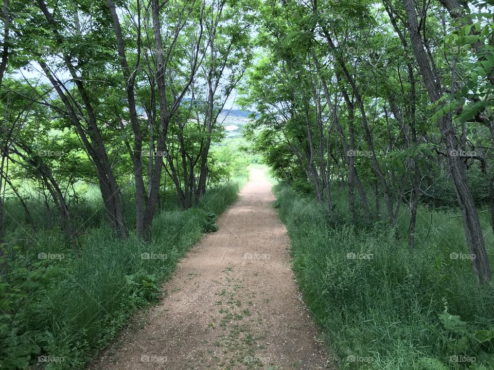 Hike through the bear creek nature center in Colorado Springs Colorado. Beautiful scenery, beautiful weather and so much green everywhere.