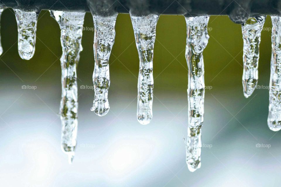 Close-up of icicles