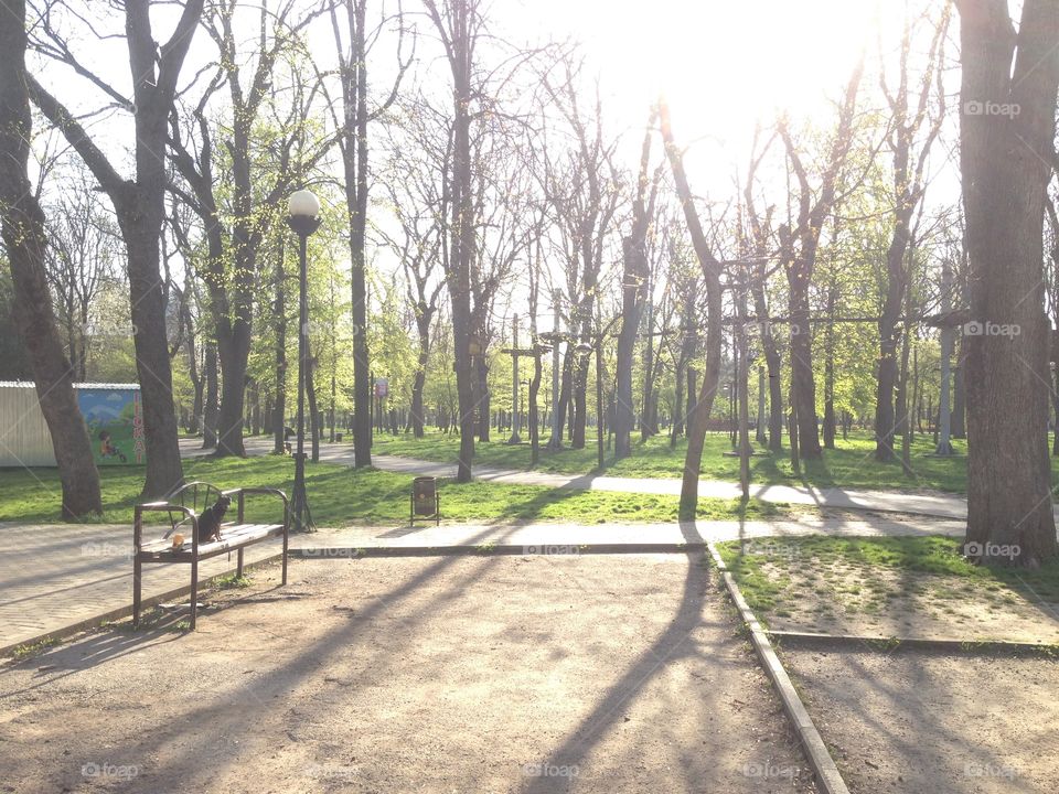 Весна в парке 