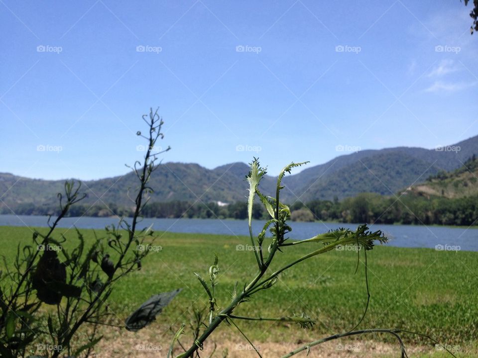 Lake landscape