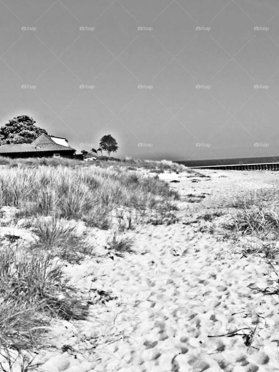 sunny day at the beach