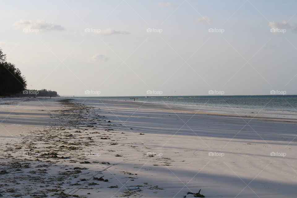 Zanzibar beach with palm trees around and the ocean on the other side. The sand is full of footprints.