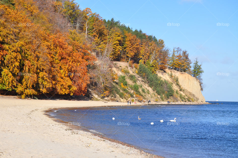 The Baltic Sea view 