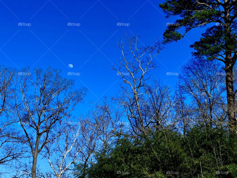 Day’s end, night begins 