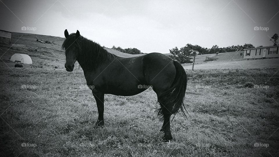 Does black and white back make me look fat? It’s okay my spirit is in shape and wild. 