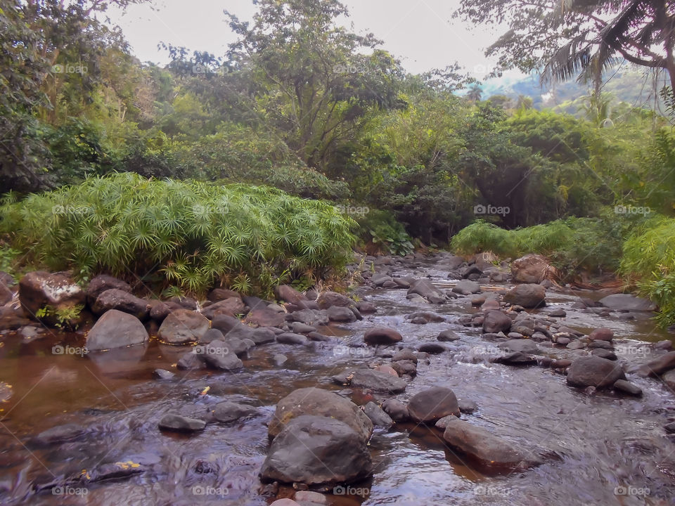 Riverbed Rocks