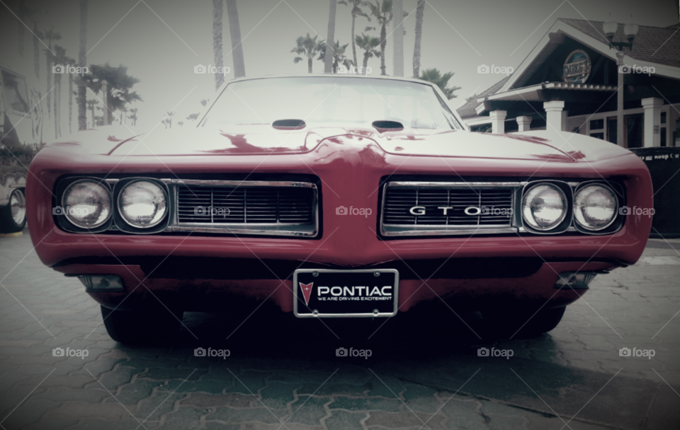 Vintage GTO