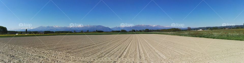 Field panorama