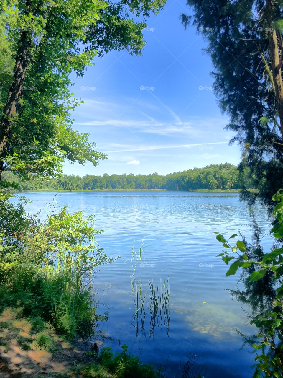 Lake 