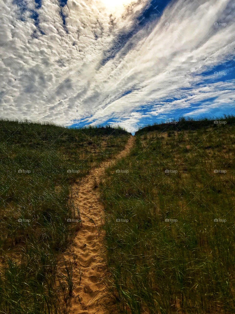 Trail up a sand dune—taken in Ludington, Michigan 