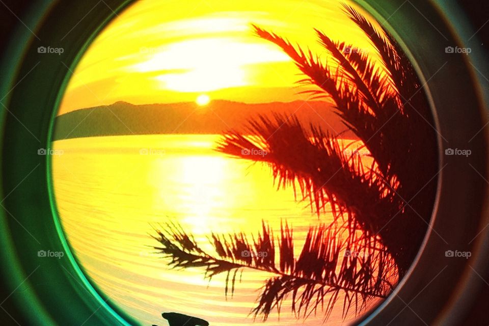 Golden hour. mage through the camera lens