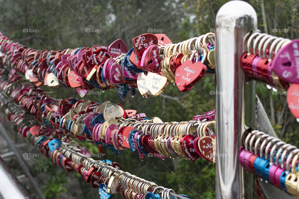 Heart shape locks on wires symbolise couples love forever