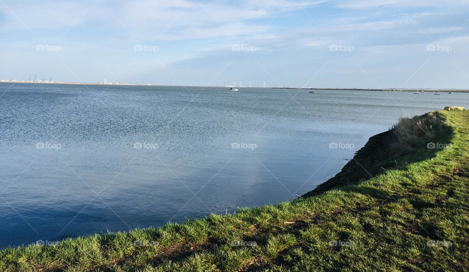 This photo was taken on a riverside walk in Lower Halstow on a strangely warm winter’s day. A beautiful, calm scene to bring in the New Year.