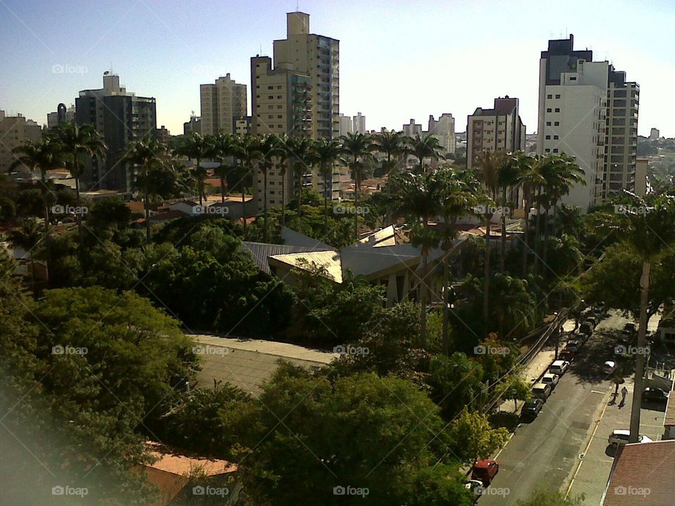 Prédios e árvores em Campinas/SP/Brasil.