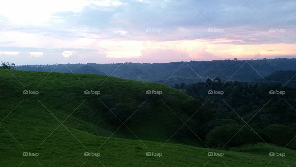 Landscape, Hill, Tree, Nature, No Person