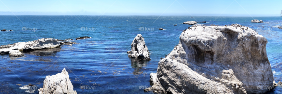 Shell Beach in Pismo. Beautiful white plateaus in the water full of birds. 