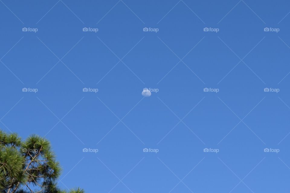 Moonlight within daylight 