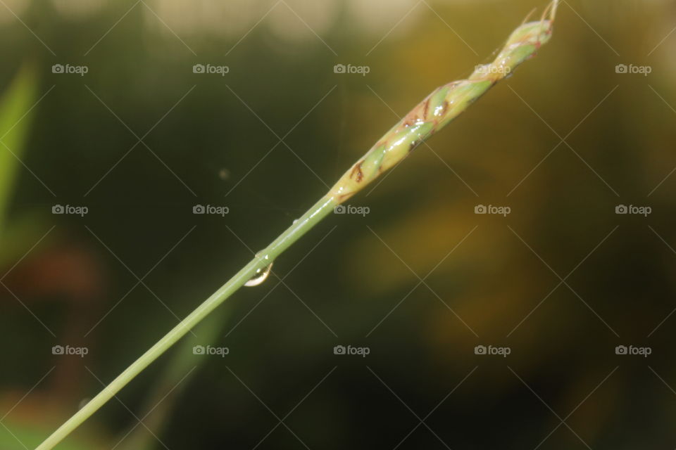 fokus pada satu titik...