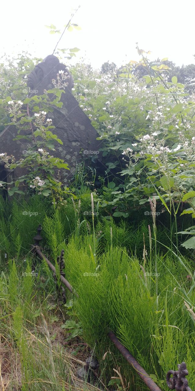 gravestone covered in trees and flowers