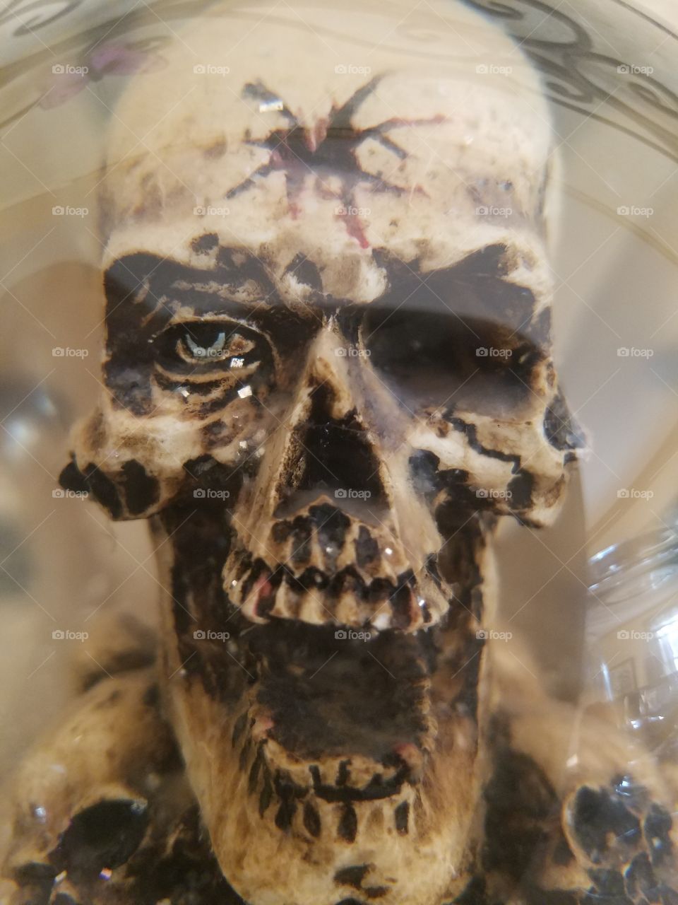 skull in globe