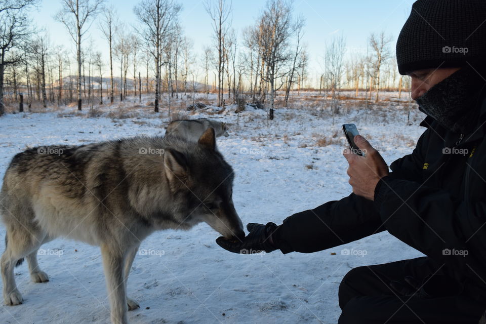 Canada Dreams Come True