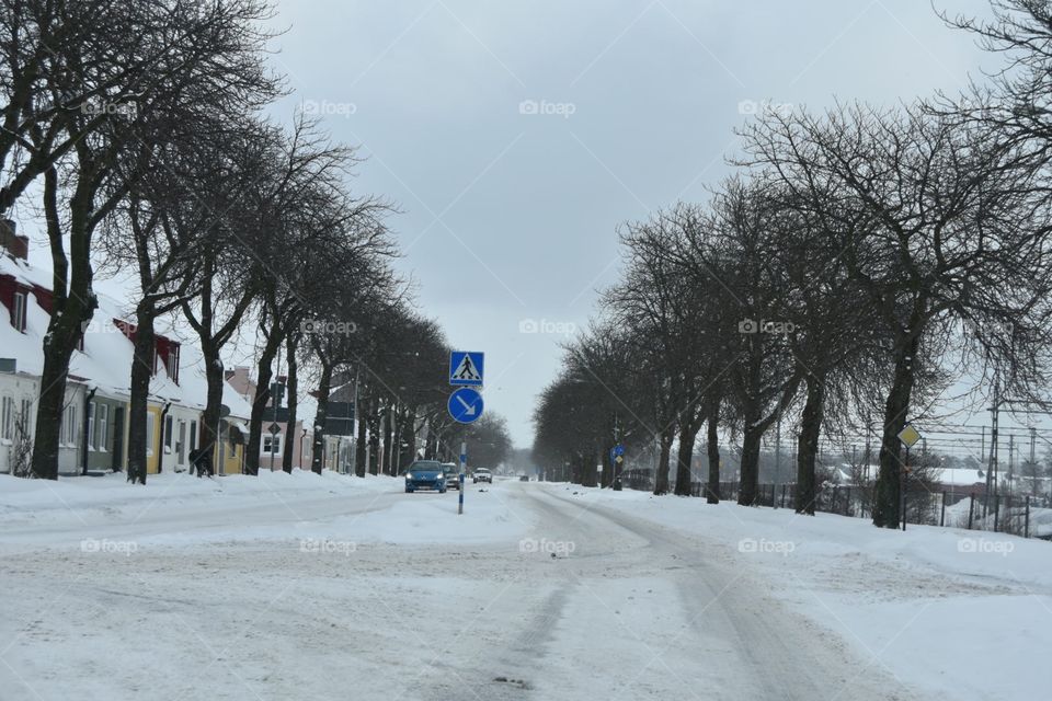 Snow, Winter, Cold, Tree, Landscape