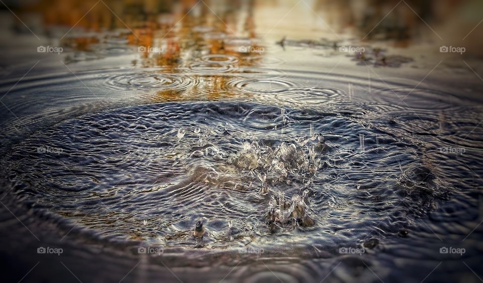 Ripple in a Pond