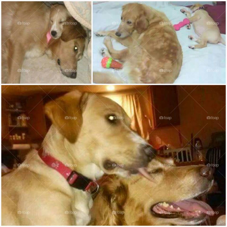 Mom and daughter through the years