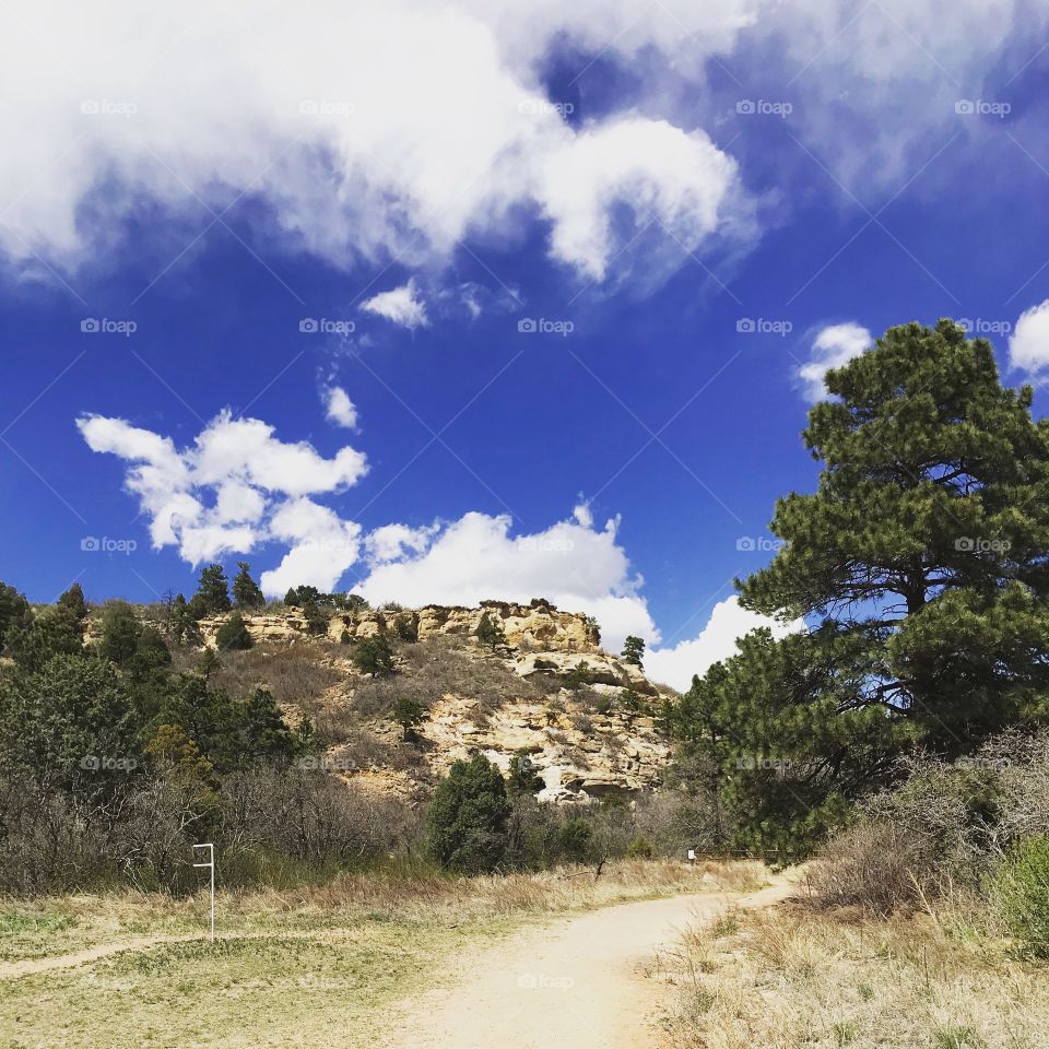 Hiking through Palmer park in Colorado Springs on. Spring day. Beautiful plant life and rock formations