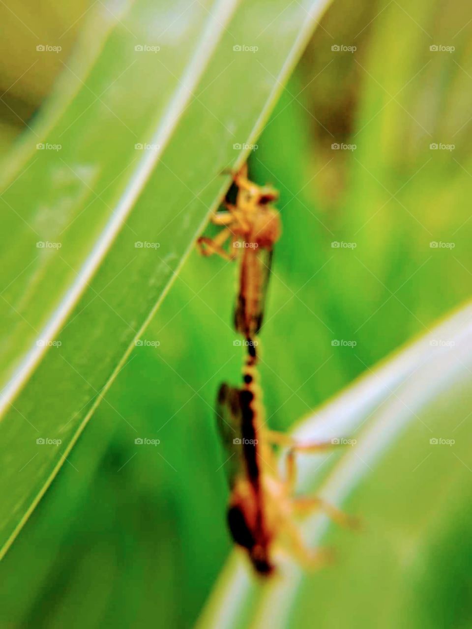 it's an interesting view with our environment so natural that wild life can still live in peace