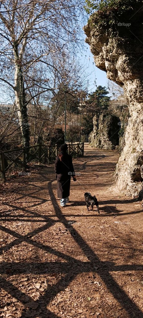Autumn walk with a dog in the park