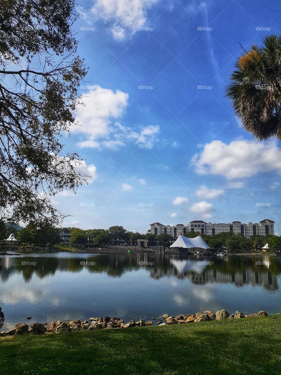 A beautiful landscape photo over the lake at Cranes Roost Park in Altamonte Springs, Florida.