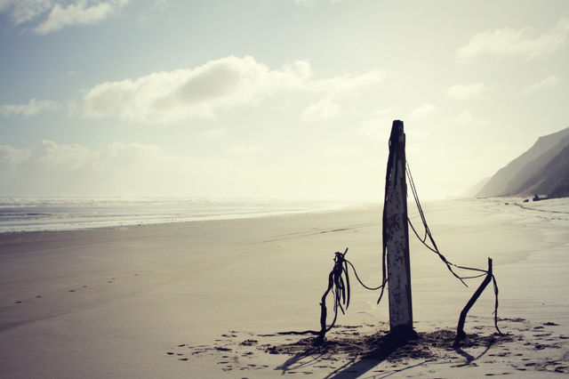 Beach Sculpture