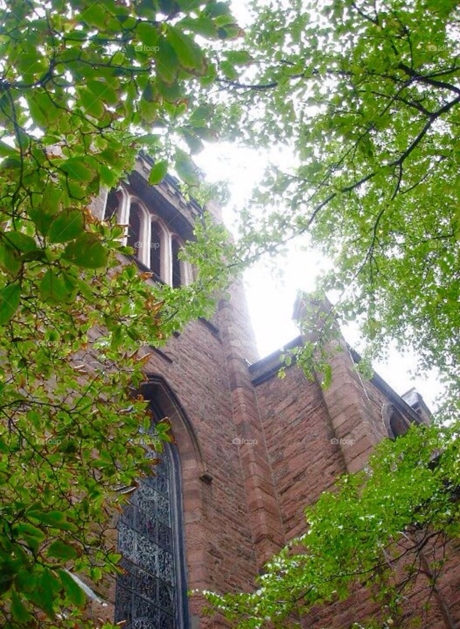 Old Church in Branches