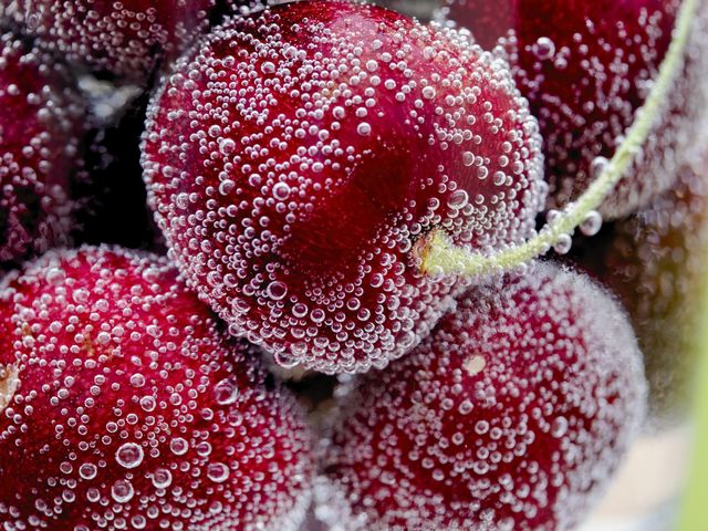 Cerezas