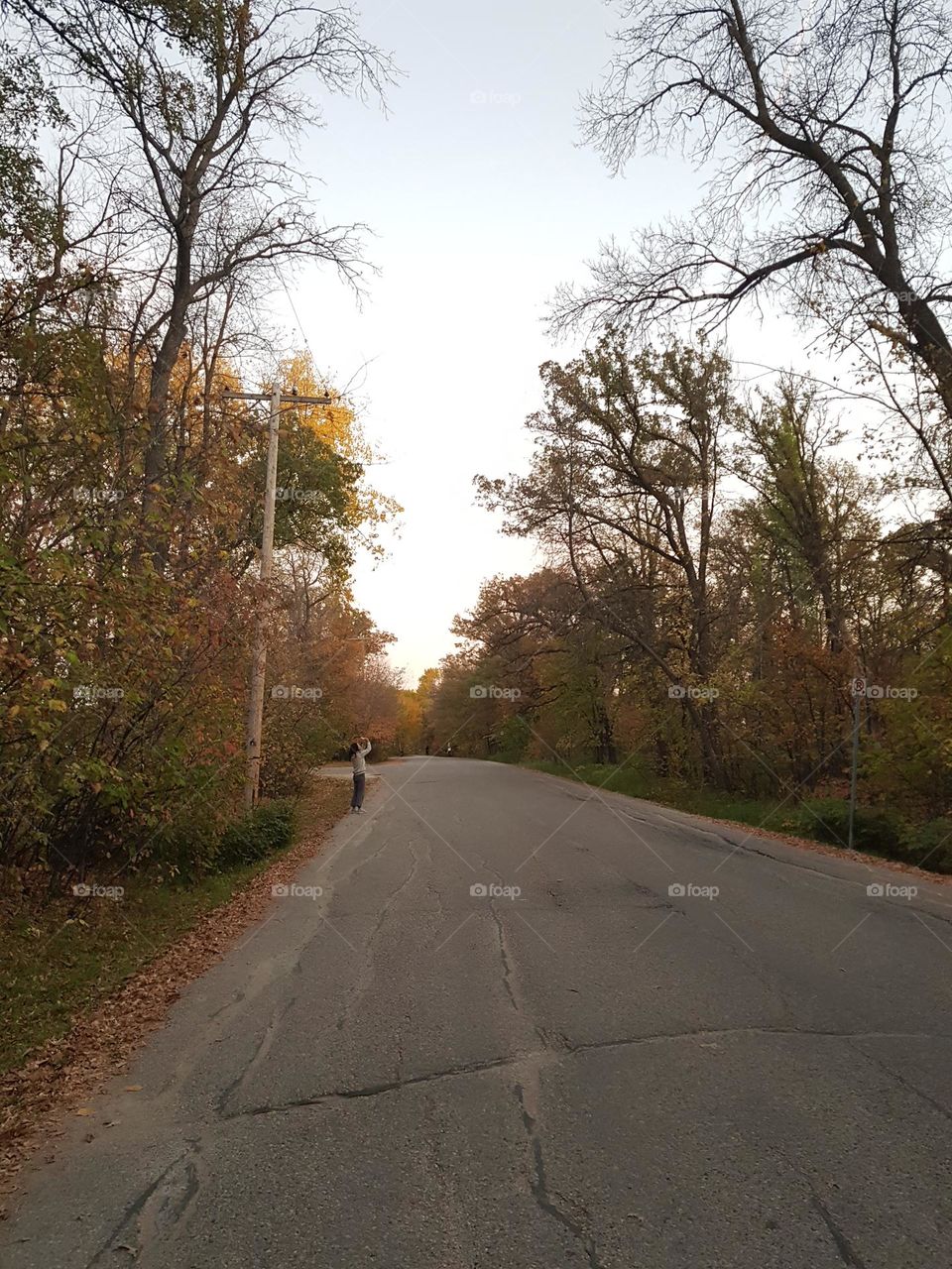 a sunny evening in a park