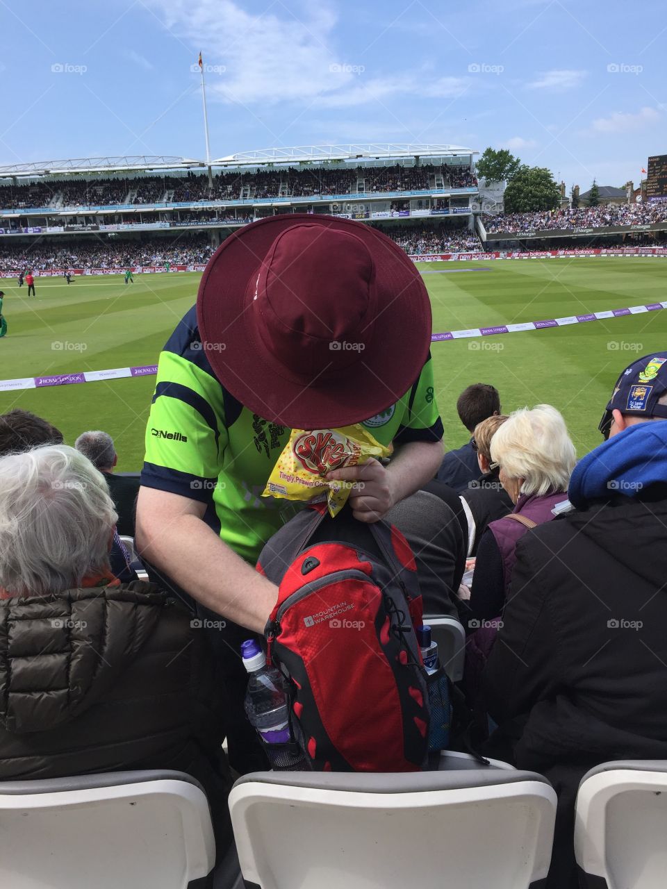 Cricket fan