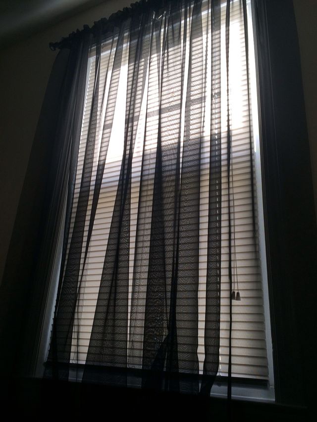 Window 